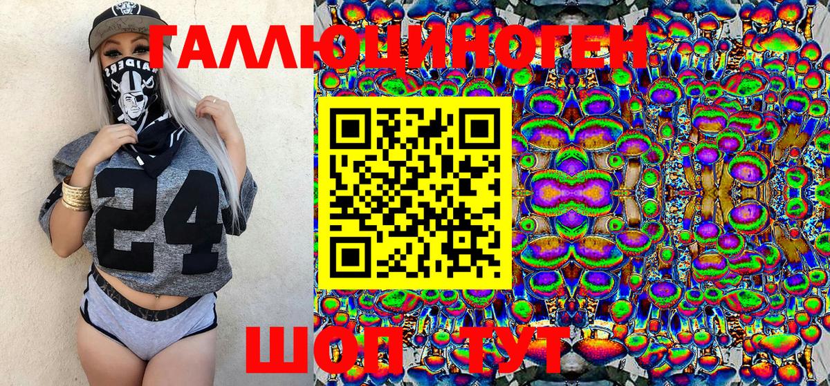 Галлюциногенные грибы Psilocybine cubensis Бийск