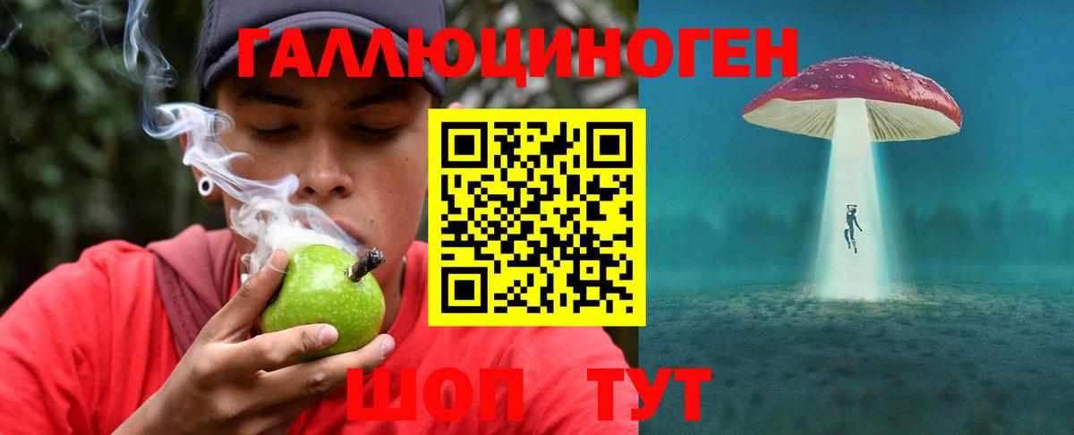 Бийск  закладки  Вход с VPN  Галлюциногенные грибы Psilocybine cubensis  Псилоцибиновые грибы Psilocybine cubensis 